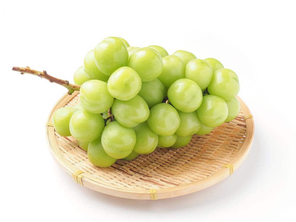 【先行予約】 令和8年産 プレミアム シャインマスカット 1房 ( 約800g ) 2026年10月頃 お届け予定