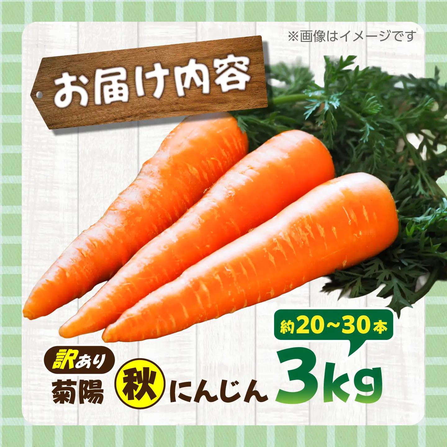 【先行予約】【11月中旬より順次発送】【訳あり】菊陽秋にんじん 約3kg  / にんじん 菊陽にんじん 西洋にんじん ニンジン 人参 野菜 熊本 菊陽 わけあり 【マツモト：ファーム】[BHDH010