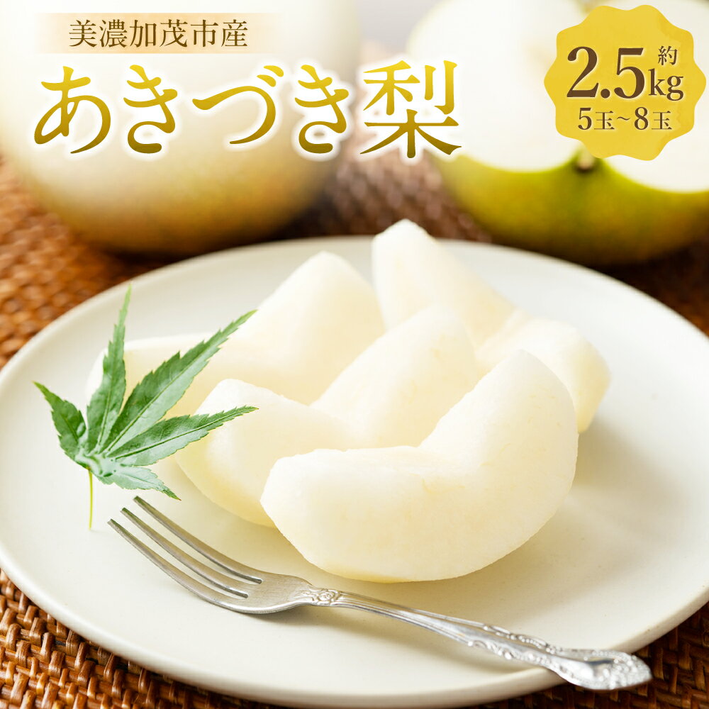 【ふるさと納税】【レビューキャンペーン対象商品】《先行予約》「山之上果実農業協同組合」山之上の梨 あきづき梨 1箱 約2.5kg（5～8玉） なし ナシ くだもの 果物 果実 フルーツ 冷蔵 岐阜県産 国産 岐阜県 美濃加茂市 送料無料 【2025年9月上旬～10月上旬発送予定】