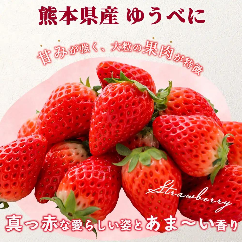 熊本県産 いちご ゆうべに 1kg (250g×4パック) 【2027年出荷分】イチゴ 果物 フルーツ 熊本県 多良木町 農園直送 107-0501
