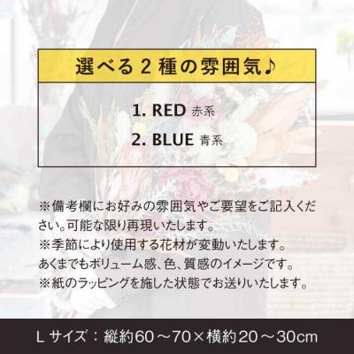 ふるさと納税 糸島市 【選べる】ドライフラワースワッグLサイズ【BlueRoof/Anthology】[AXF008] |  | 01