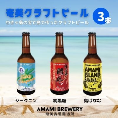 
                  奄美クラフトビール 3本入り 地ビール
                