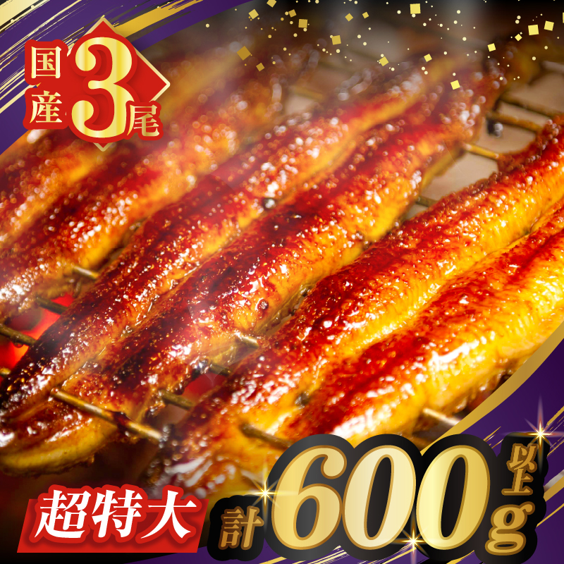 【丑の日までにお届け!!】うなぎ蒲焼特大3尾(さんしょう・たれ付き)計600g以上 鰻 魚 魚介 加工品 国産_T026-0021-US