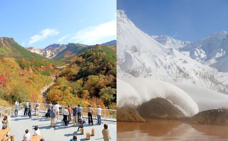 湯元凌雲閣【 1泊2食付 】 宿泊券 ホテル 旅館 旅行 旅行券 チケット 北海道 上富良野町 十勝岳