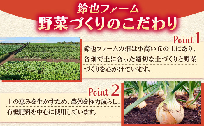 【先行予約】新玉ねぎ　約5kg（3月～4月）【鈴也ファーム】 [AKCE019]