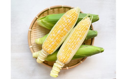 きたむら農園『どきどきコーン』×20本セット（約8～8.5kg相当）2025年夏出荷分 先行予約開始！ 信濃町名産とうもろこし／スイートコーンの新定番品種、申し込み受付中！ 令和7年7月下旬～8月下旬