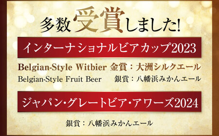 産地直送！ご当地ビール！臥龍クラフトビール（愛媛県南予Ver.）3種計6本セット　愛媛県大洲市/株式会社　アライ[AGAY013]