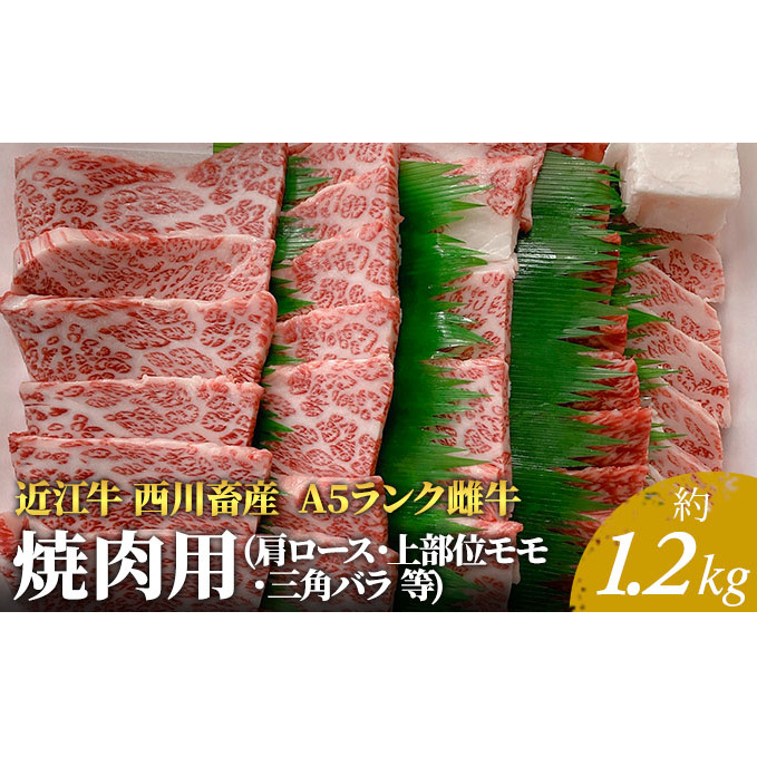 【最短1週間発送】 A5ランク 近江牛 焼肉 肉 牛肉 雌牛 焼肉用 約1.2kg （肩ロース・上部位モモ・三角バラ等） ふるさと納税 お肉 バーベキュー ブランド牛 黒毛和牛 滋賀県 豊郷町