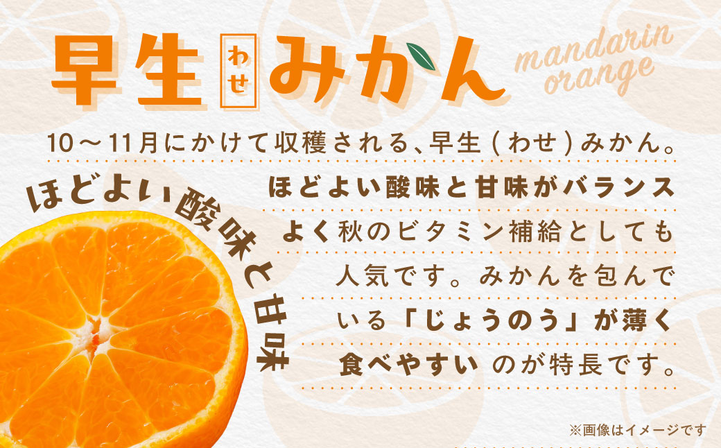 【先行受付】【数量限定】早生みかん（生果）3kg（2025年11月上旬より順次発送）IKTQ015