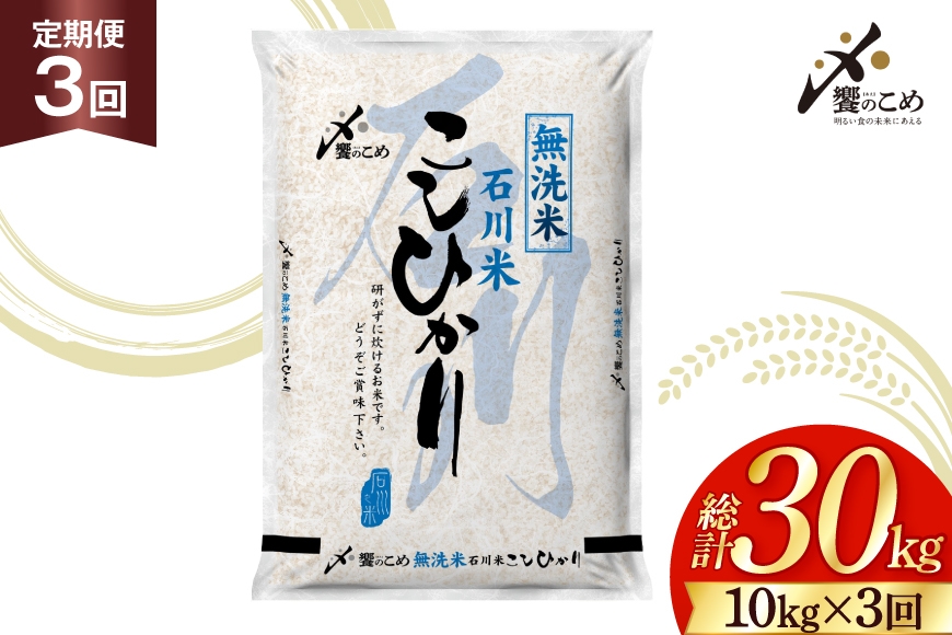 
                  米 定期便 無洗米 石川米 こしひかり 10kg ( 5kg 2袋) 3回 総計30kg [中橋商事株式会社 石川県 宝達志水町 38601402] お米 白米 ごはん 美味しい コシヒカリ おこめ こめ 10kg 30kg 石川 能登 むせんまい
                
