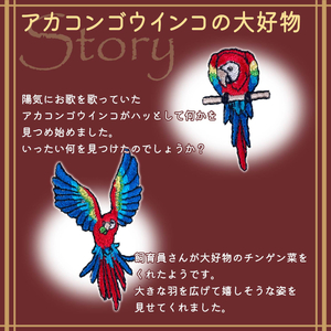 おはなし靴下 ギフトボックス アカコンゴウインコ キッズ ピンク