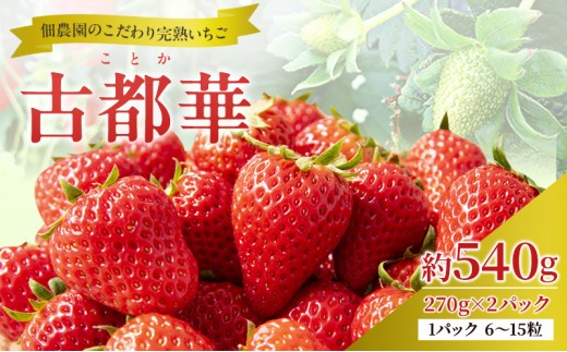 
                  先行予約 【いちご 完熟 古都華 約540g(270g× 2パック ) 佃農園のこだわり 高評価 フルーツ 果物 旬 産地直送 旬の果物 おやつ デザート ことか イチゴ 冷蔵 冷蔵配送 奈良県 大和郡山市 BN001 [№5990-0476]
                
