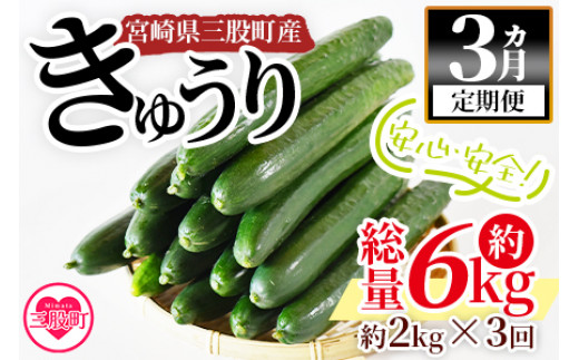 
＜【3ヵ月定期便】【期間限定】宮崎県産きゅうり(約2kg)×3回＞(3本入り×5袋)×3回)パリッと甘い魔法のキュウリ「マジキュー」漬物や天ぷらに！【MI201-yt】【ゆたか農園】
