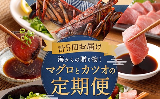 
                  【定期便 5回】海からの贈り物 | マグロ と カツオ の 定期便 海鮮 鮪 鰹 ネギトロ  刺身 海産物 魚介類 鮪 まぐろたたき 魚 海鮮 冷凍 タカシン 海鮮定期便 人気定期便 魚介定期便 ランキング お楽しみ 頒布会 ふるさと納税 定期便 美味しい 惣菜 お取り寄せ おさしみ 訳あり ワケアリ 天然本マグロ 藁焼きかつおのたたき 本場 10万円 100000円 頒布会 高知県 室戸市
                