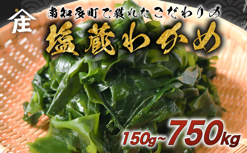 
            【容量選べる】 塩蔵わかめ 150g ～ 750g 冷凍 チャック袋入 お味噌汁 和物 ごはん 丼 サラダ 海藻 料理 愛知県 南知多町 師崎 ワカメ わかめ 海藻類 おすすめ おいしいワカメ お米 に合う 米 に合う コメ に合う 水産 海の恵 塩蔵ワカメ 酢の物 水産加工 おこめ に合う 味噌汁 太陽の恵み 知多半島 大人気 南知多産わかめ 愛知県産ワカメ 南知多 南知多のわかめ 人気わかめ
          