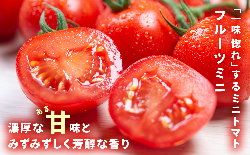 【2026年先行予約】朝採りフルーツミニトマト＆フルーツミニ 計1kg