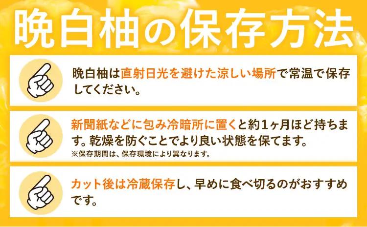 柑橘 晩白柚 2L 1玉 2kg 日本フルーツ株式会社