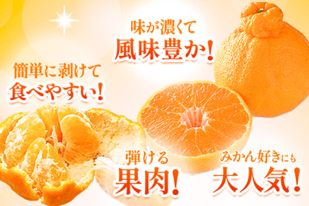 不知火 デコみかん ( デコポンと同品種 ) 不知火 ご家庭用  熊本県産 ( 荒尾市産含む ) 《2月上旬-4月上旬頃出荷》訳あり 約 5kg (12-24玉前後) 柑橘 みかん フルーツ 不知火 