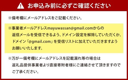 まゆワッサン 額縁入りダンボール原画（オーダー）まゆワッサン 原画 オーダー原画 ダンボール アクリル 絵の具 アート イラスト キャラクター 絵画 福岡県 北九州市