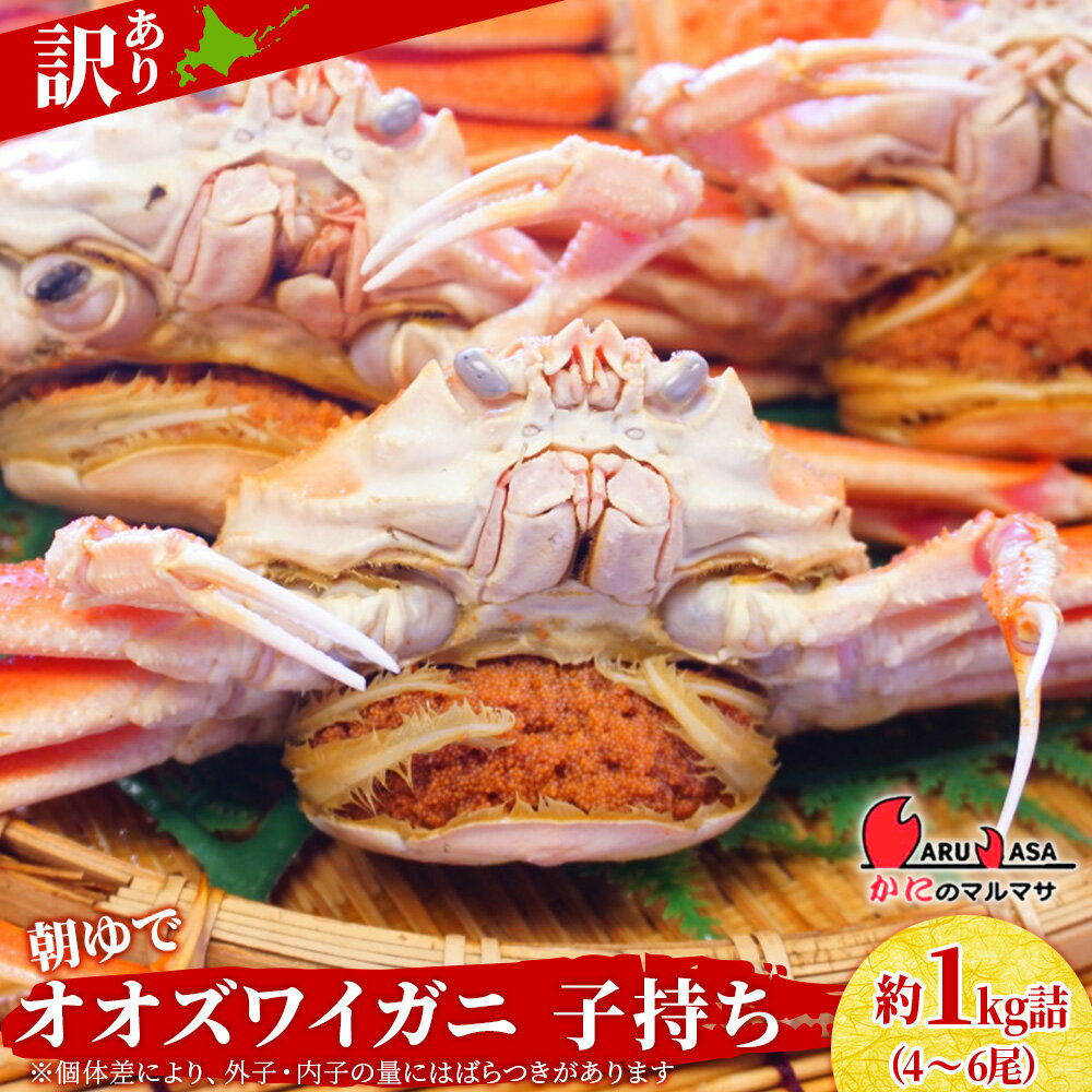 【ふるさと納税】北海道産【朝ゆで】訳ありオオズワイガニ メス(小) 1.0kg詰 子持ち 内子 外子＜かにのマルマサ＞ 道産品 オオズワイ蟹 オオズワイカニ おおずわい蟹 規格外品 不揃い 訳アリ 訳有り北海道 ふるさと納税 北海道 千歳市 【北海道千歳市】