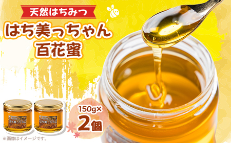 天然はちみつ「はち美っちゃん」　百花蜜　150g×2個【1364864】