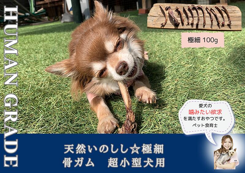 超小型犬向け☆天然いのししのスモーク骨ガム100g