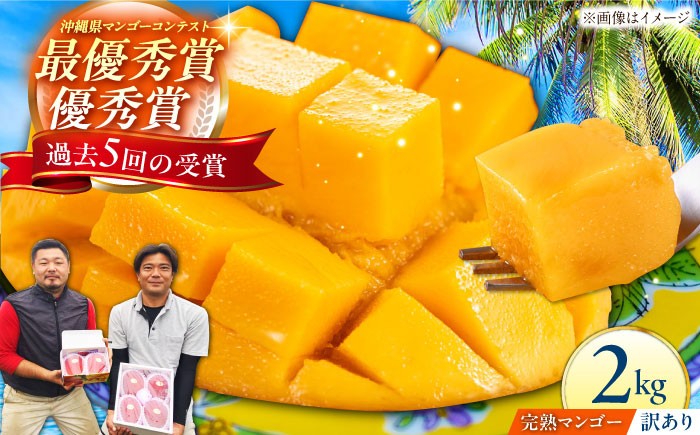 
            【先行予約 2026年発送 予約受付】【訳あり】仲村農園の完熟アップルマンゴー 2kg マンゴー 沖縄 果物 フルーツ ギフト 沖縄市 / 仲村農園 完熟 お取り寄せ プレゼント デザート 国産 贈り物 自宅用 マンゴー栽培 沖縄 送料無料 ご当地 人気 特産品 名産品 誕生日 冷蔵 おすすめ 国内産 取り寄せ [BCCU003]
          