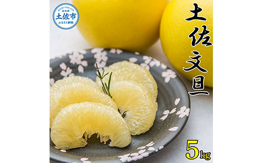 【先行予約】高知県産 土佐文旦 贈答用 約5kg 8～10玉入 〈2027年2月〜発送〉 文旦 ぶんたん ブンタン 柑橘 フルーツ 果物 5キロ 美味しい 高知県 土佐市【株式会社種田農園】[BQBW001]