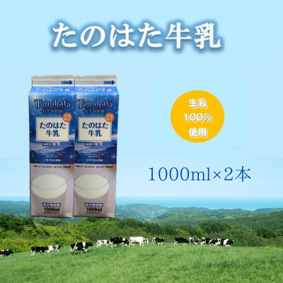 
            たのはた牛乳　1000ml　2本＜美味しさへこだわり:85℃　25分間殺菌＞【1603935】
          