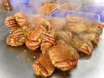 北海道産オホーツク極上毛がに（冷凍） 2尾セット（合計約1kg） ABC002