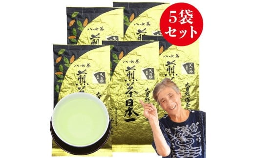 自社製造の深蒸しの八女茶！当園の最高級品！天の抄（てんのしょう）100g入り5袋入り【2024年5月発送開始予定】