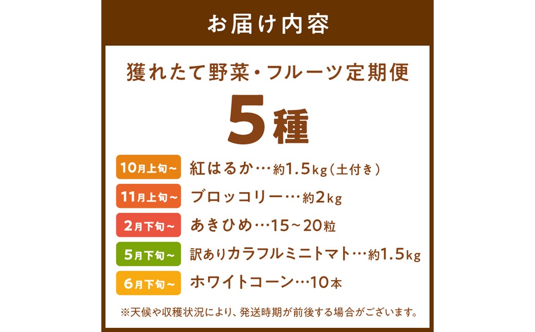 まつみやファーム獲れたて野菜・フルーツ5種定期便 ふるさと納税 果物 くだもの フルーツ ふるーつ 野菜 やさい 芋 穀物 紅はるか さつまいも いちご イチゴ 苺 ホワイトコーン 農家応援 生産者応