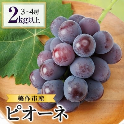 
            2026年先行受付　美作市産ピオーネ　2kg以上(3～4房)【1147830】
          