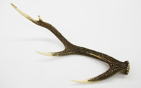 ＜色、大きさ、模様おまかせ＞鹿の角を使用したバーベキューフォーク【竜鹿】 / 本物 加工 鹿