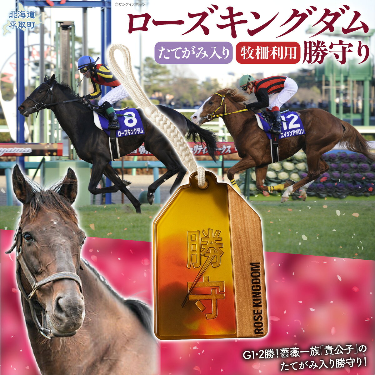 【ふるさと納税】【ローズキングダム】【御守り】たてがみ入り牧柵利用　勝守り 【ふるさと納税 人気 おすすめ ランキング 馬 競馬 競走馬 引退馬 ローズキングダム 御守り お守り 御守 勝守り 生活 日高 北海道 平取町 送料無料】 BRTV251