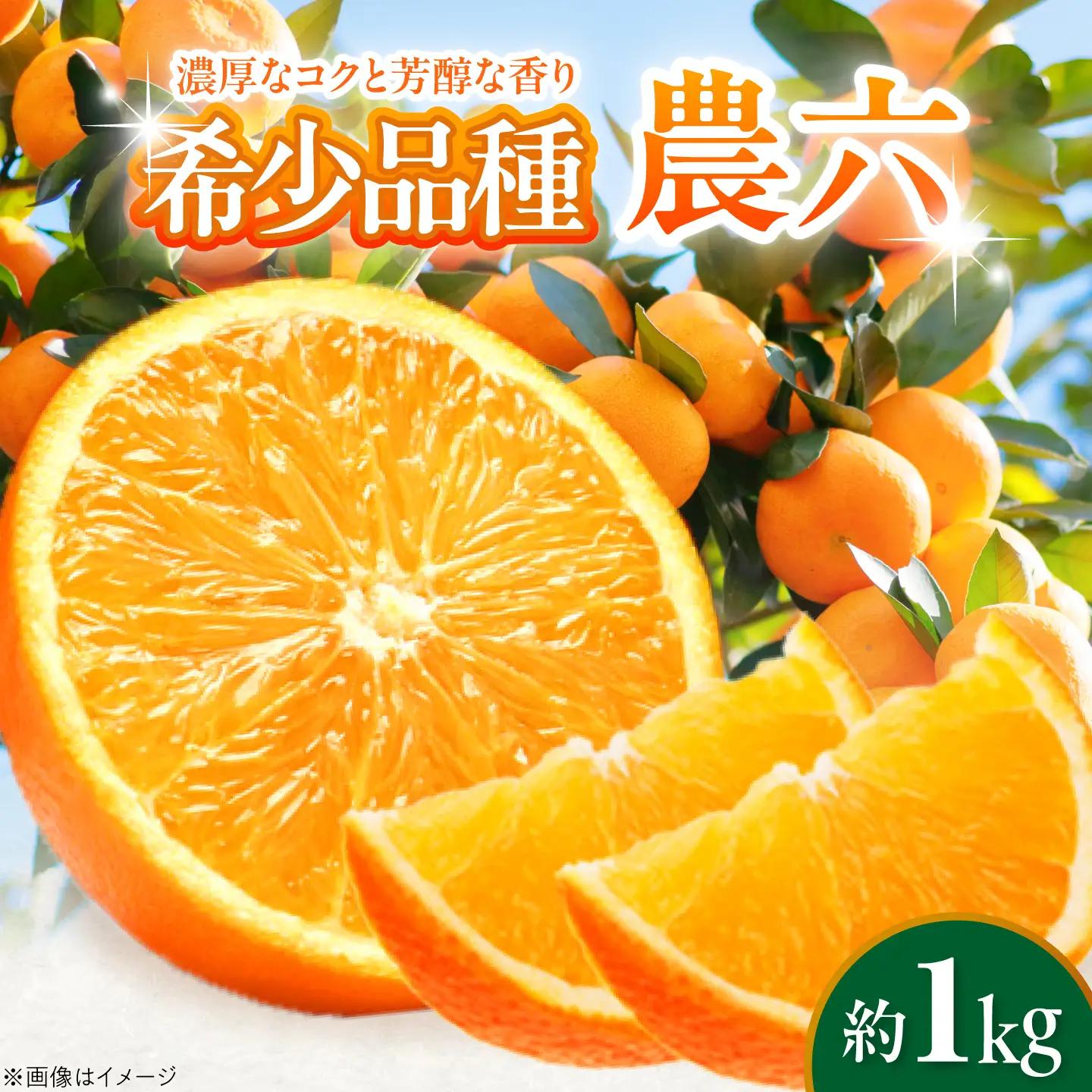 みかん 農六 約1kg みかん BJBF002 