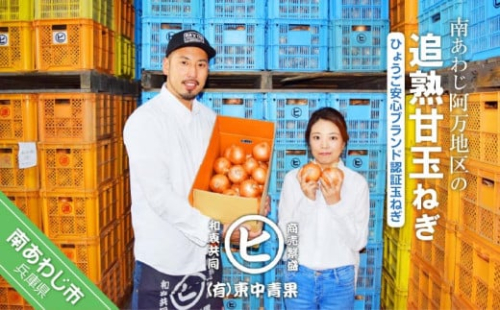 淡路島産 うずしお追熟甘玉ねぎ 3kg