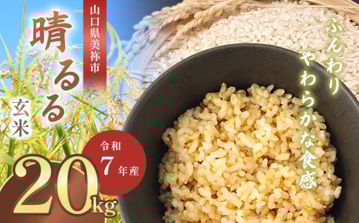 令和7年度産 新米晴るる 玄米20kg 先行予約 ＜ 2025年9月中旬より順次発送予定 ＞ ｜ 米 精米 新米 玄米 米 雑穀 お米 コメ 単一米 晴るる はるる  山口 美祢 秋吉台 20kg