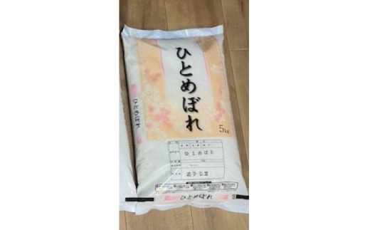 宮城県産「ひとめぼれ」精米　計10kg【1680639】