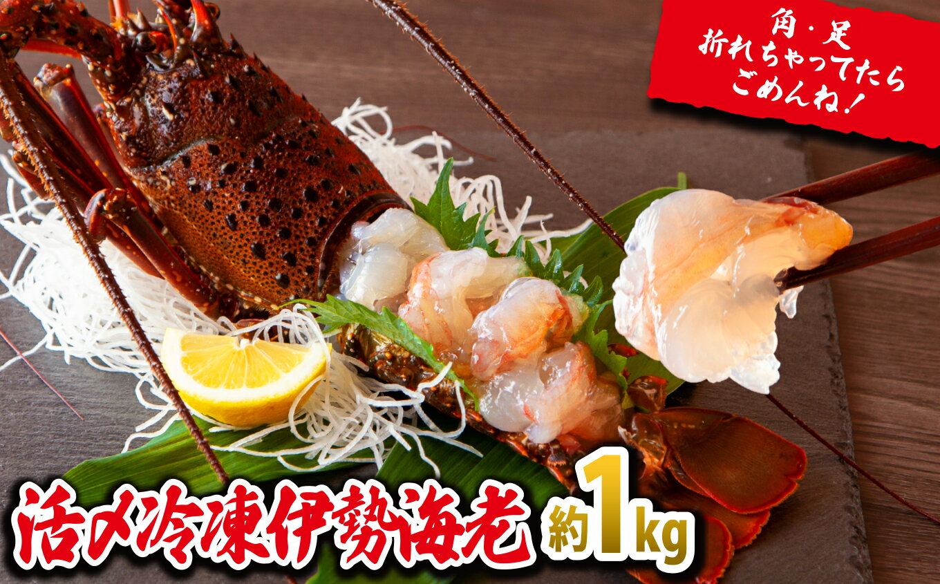 【ふるさと納税】年内発送 12月末までにお届け 刺身 でもうまい！活〆 冷凍 伊勢海老 大満足 の約1kg（2～5尾）えび エビ いせえび イセエビ 高級 鮮魚 海鮮 産地直送 魚介 刺身 焼き物 汁物 ギフト 贈答 贈り物 祝い 歳暮 天然 海の幸 正月 お正月 冷凍 急速 みそ汁 MG-6