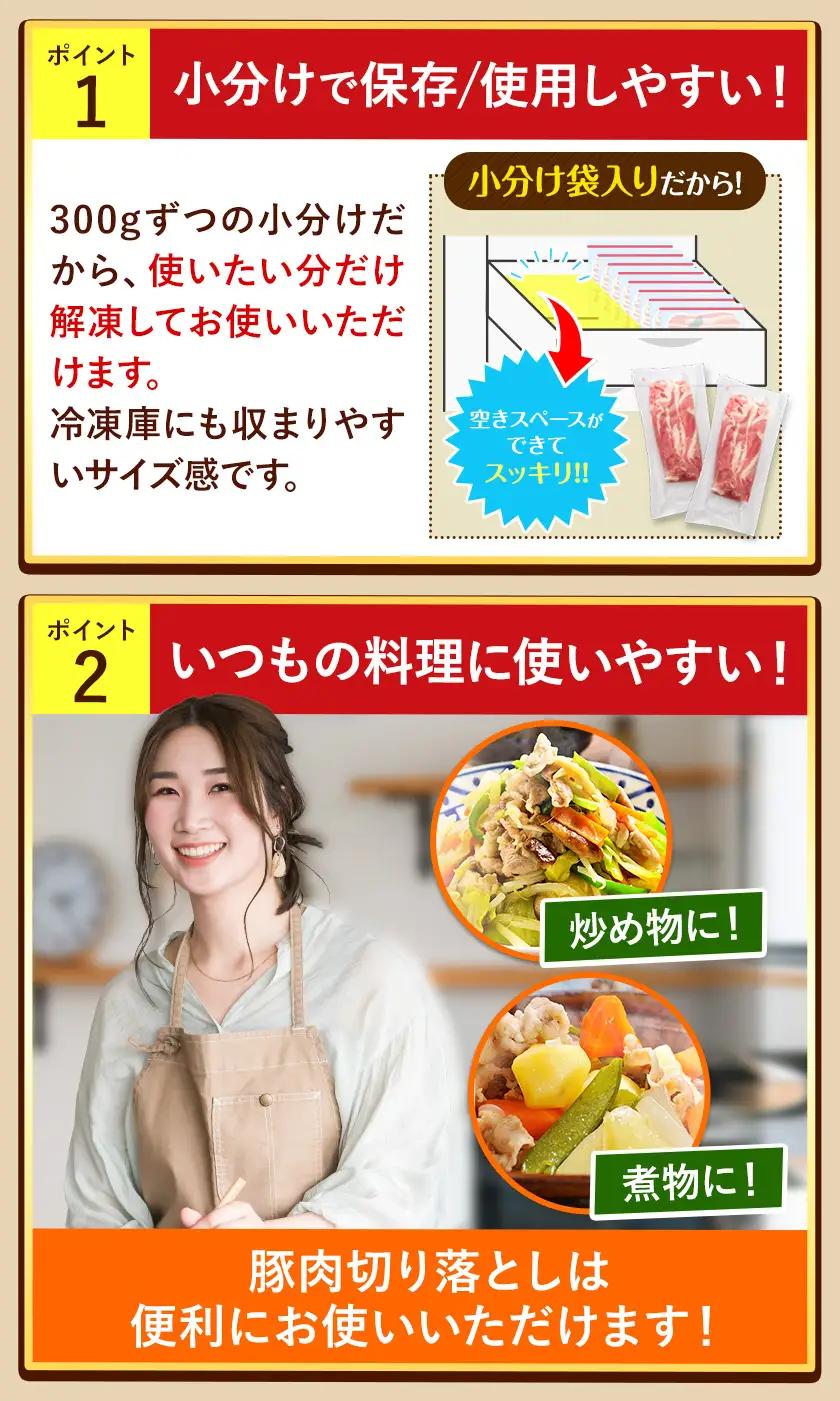 豚肉 切り落とし 3kg 焼肉いしい 株式会社石井牧場《30日以内に出荷予定(土日祝除く)》熊本 支援