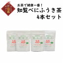 【ふるさと納税】【お歳暮に】お茶で健康一番!知覧べにふうき茶4本セット