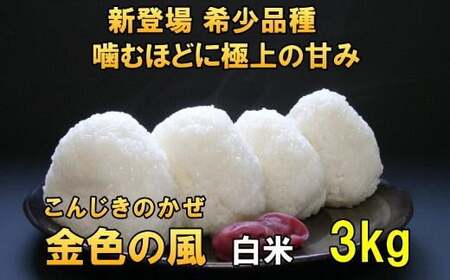 新登場の高級米 岩手県奥州市産 金色の風 白米 3kg [AC026]