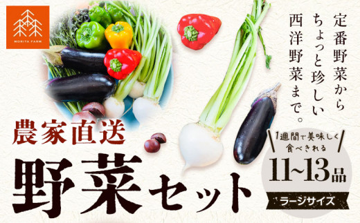 野菜 農家直送 新鮮 野菜 セット ラージサイズ 11～13品 《60日以内に出荷予定(土日祝除く)》 森田農園 青果物 やさい 千葉県 流山市