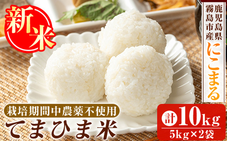 K-198-C ＜令和7年産新米 先行予約受付中！2025年12月以降順次発送予定＞てまひま米(品種:にこまる)(計10kg)【末蜜農園】霧島市 お米 精米 白米 米 こめ コメ ご飯 ごはん 栽培期間中農薬不使用