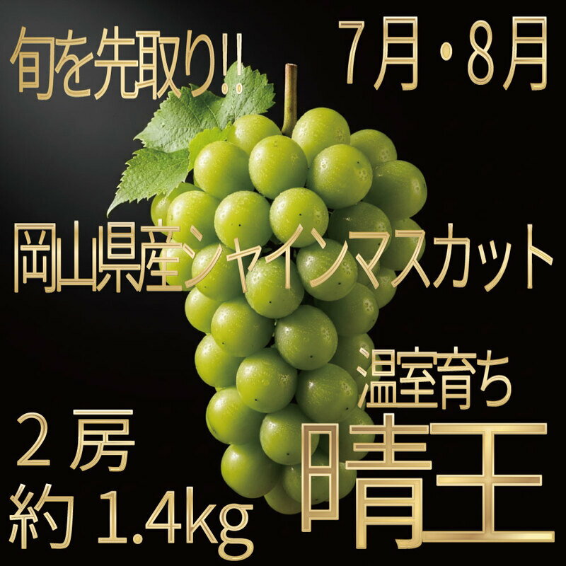 【ふるさと納税】[HS]ぶどう先行予約7月・8月発送温室シャインマスカット晴王2房(合計約1.4kg) ブドウ 葡萄 岡山県産 国産 フルーツ 果物 ギフト デザート 食後 酸味が少ない 産地直送　お届け：2026年7月1日～2026年8月31日