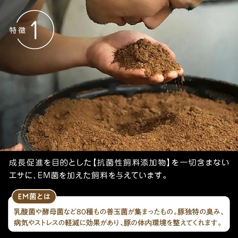 延岡よっとんバラブロック約1kg N003-YZA328-1_イメージ3