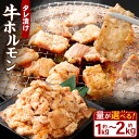 【ふるさと納税】＜選べる容量＞ タレ漬け 牛ホルモン 1.0kg 1.5kg 2.0kg 2パック～4パック 小分け 牛肉 牛 お肉 肉 味付き たれ タレ ホルモン 焼き肉 焼肉 冷凍 岡山県 奈義町 送料無料