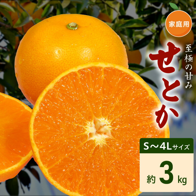 【ふるさと納税】【限定】【2027年先行予約】ご家庭用 せとか 和歌山 有田 S～4Lサイズ 大きさお任せ 3kg