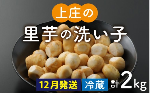 【先行予約】【12月発送】皮むきいらず、煮っ転がしに最適！上庄の里芋の洗い子 2kg 【冷蔵】
